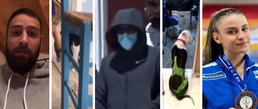 4208892068678471 image