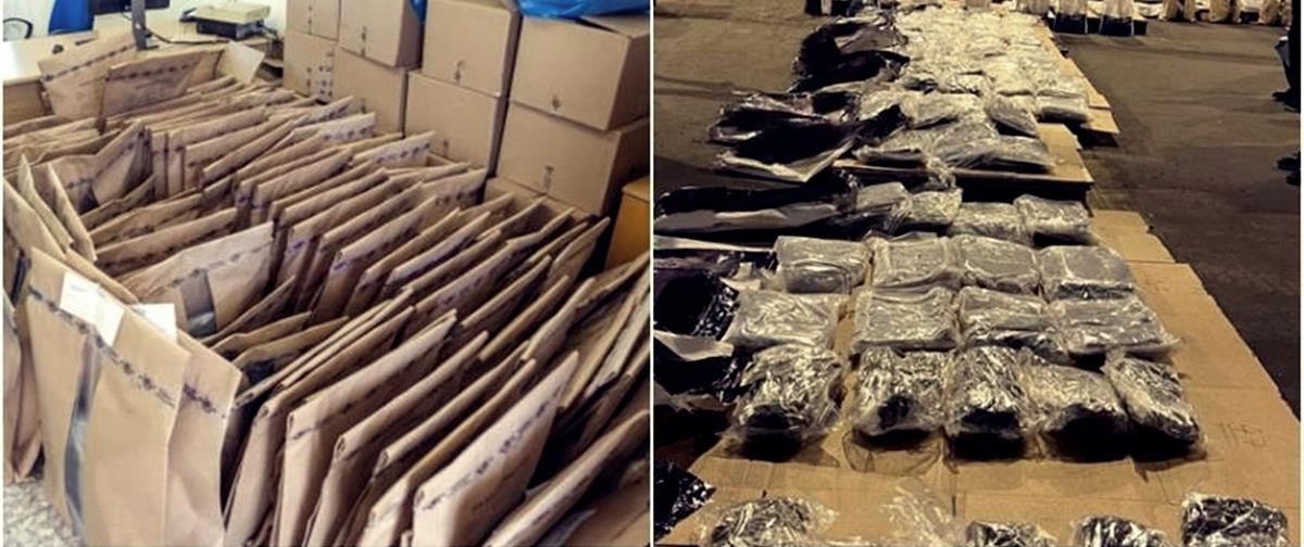 4209285987998285 cats