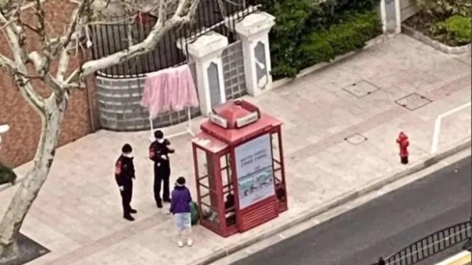 4209870311366017 image