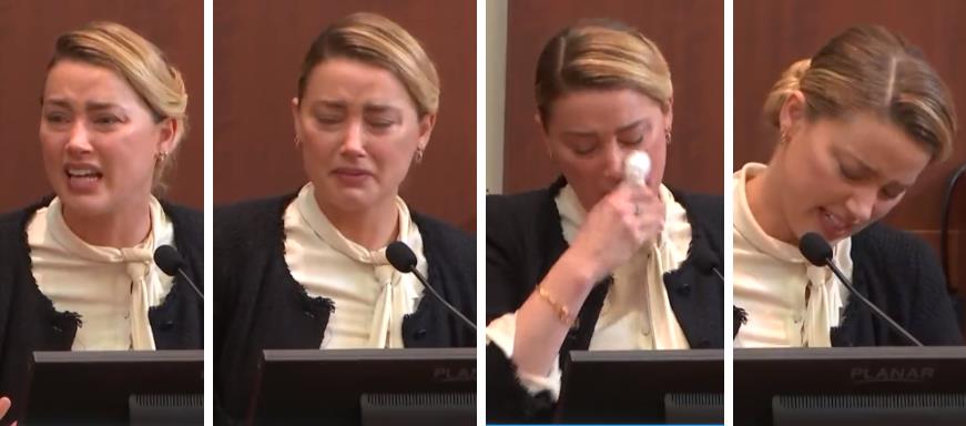 4210744306829095 image