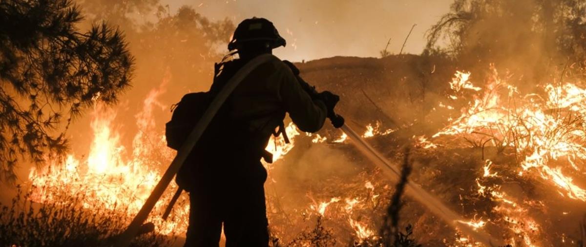 4210837486592016 fotia-dasos