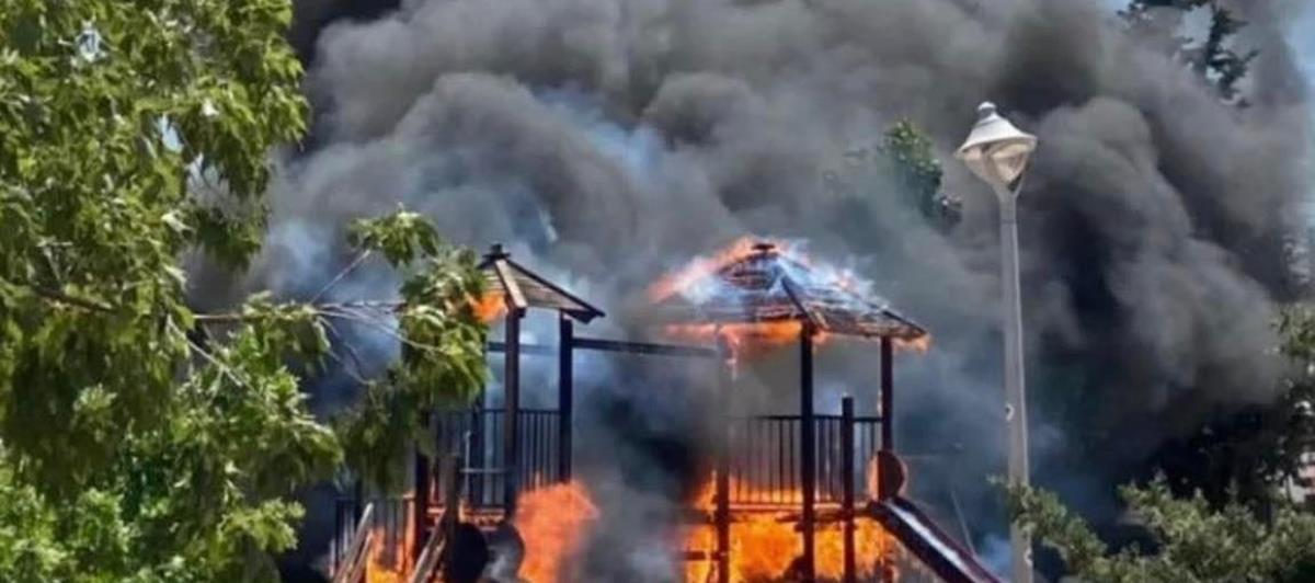 4210893312820048 cache 846x3000 Analog medium 950663 165062 652022