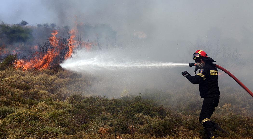 4211061002408712 image