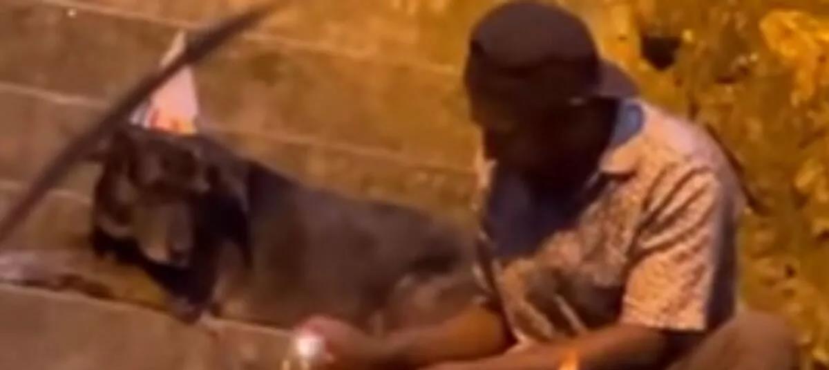 4212566620923740 222