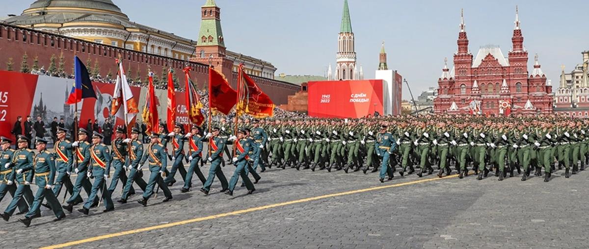 4213126678025551 cats