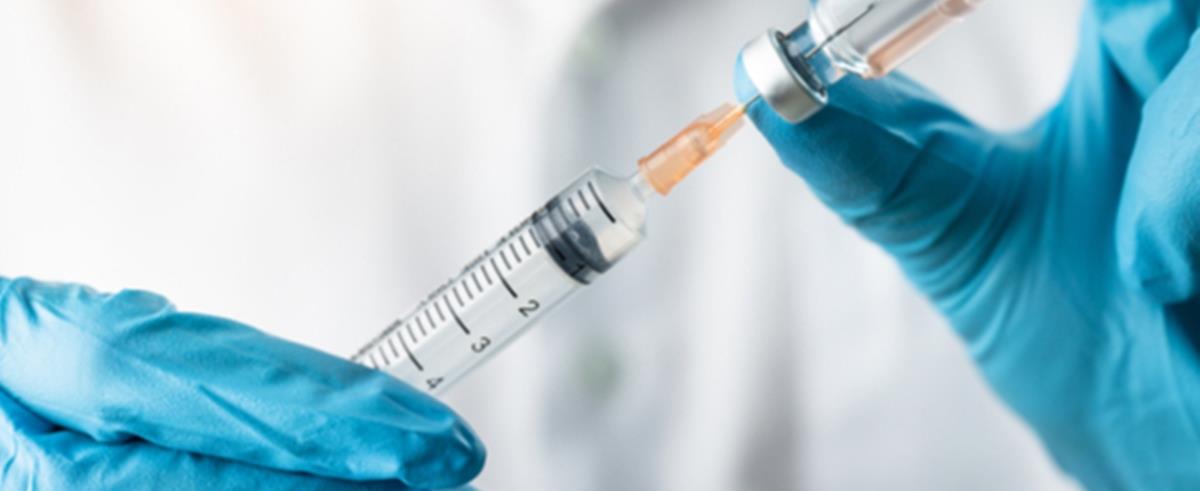 4214249549045371 shutterstock 1506051596