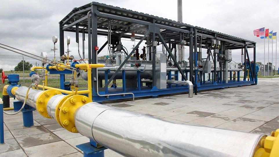 4214930530528598 image