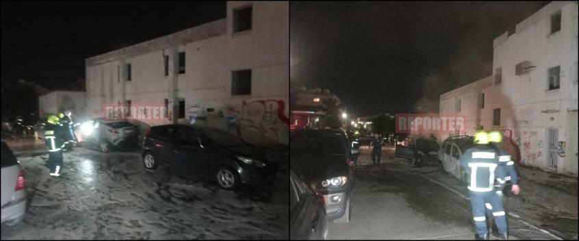 4216047041812822 image