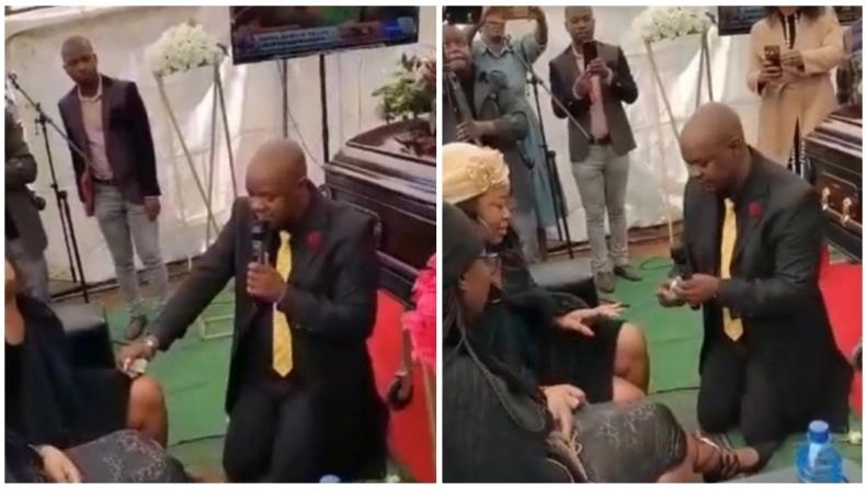 4217115304305408 image