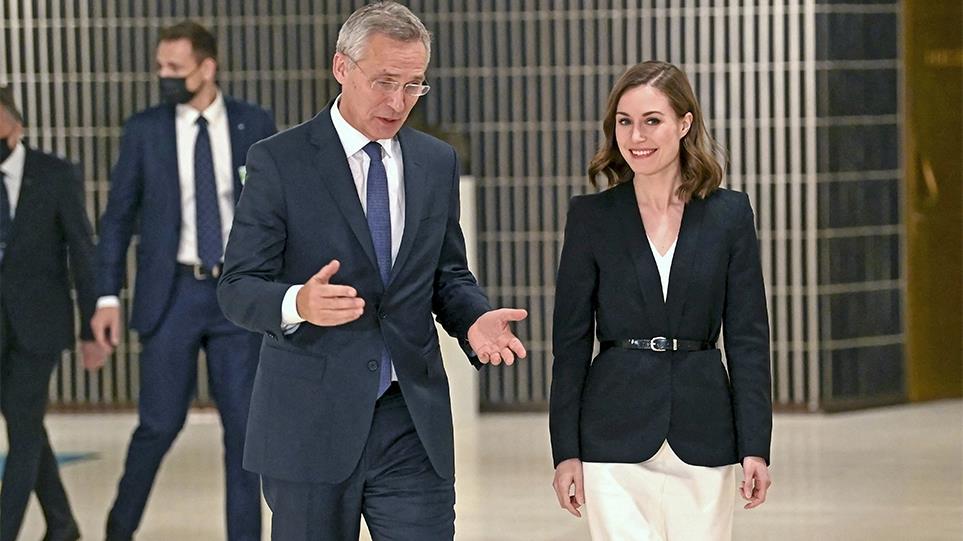 4217531495204798 image