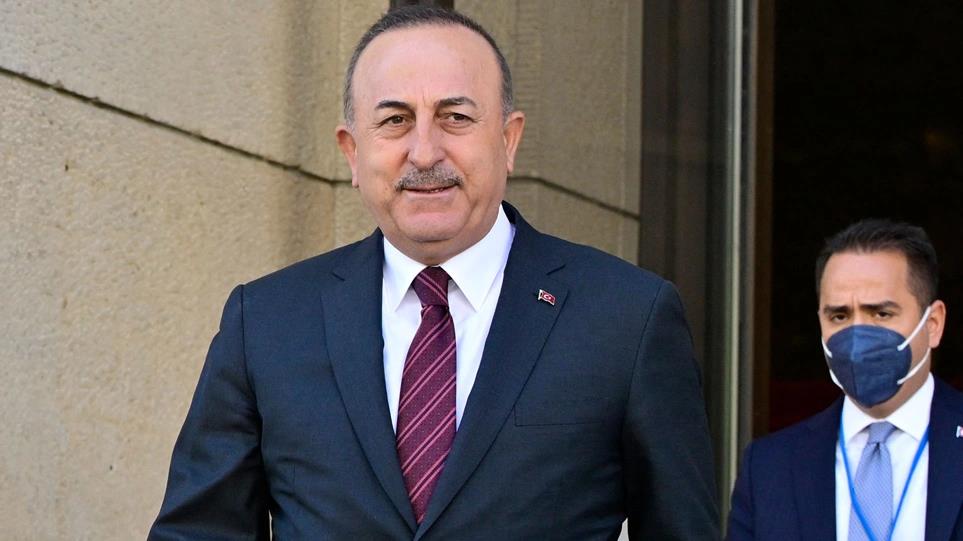 4218651094689033 image