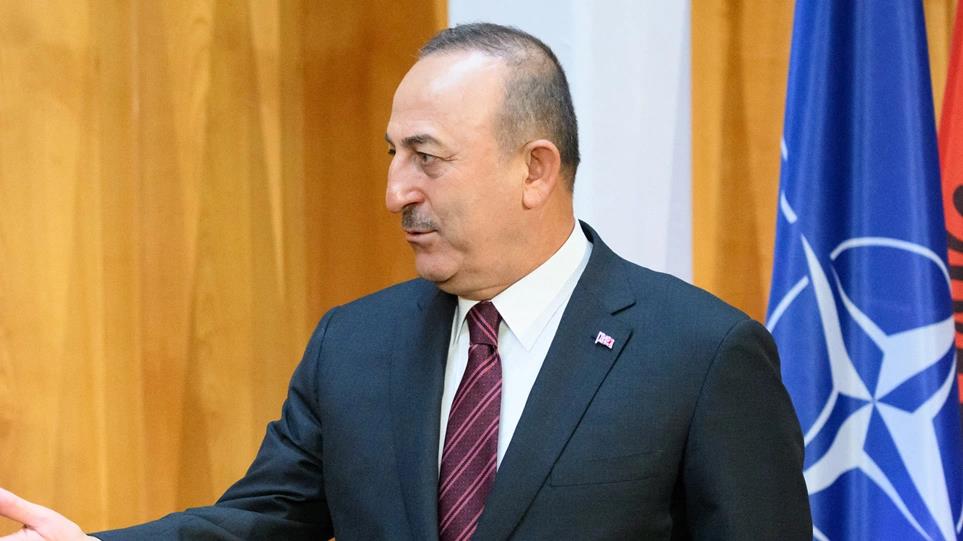 4218743273086682 image