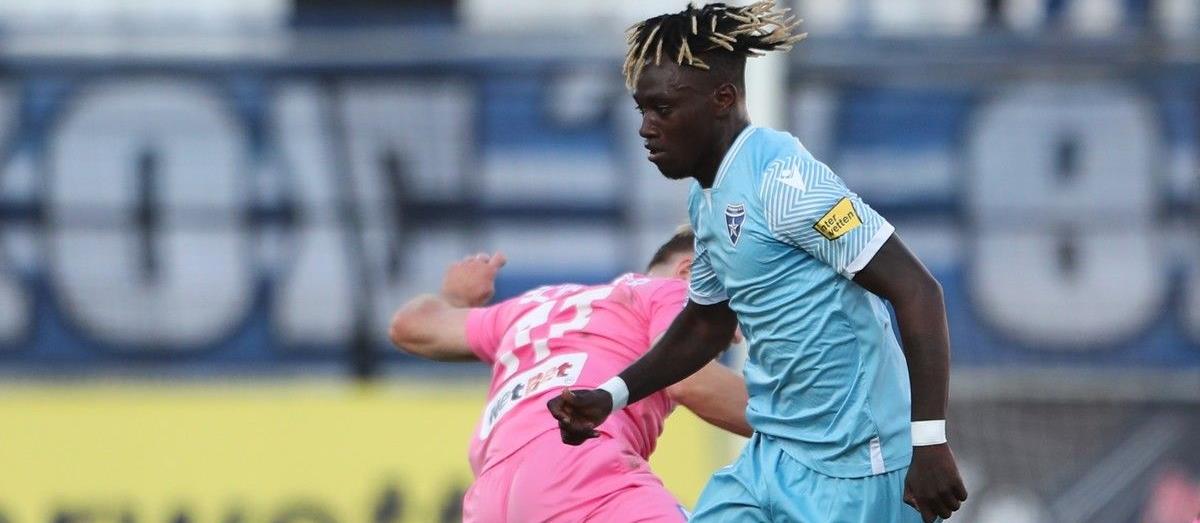 4219336939650704 dalsio