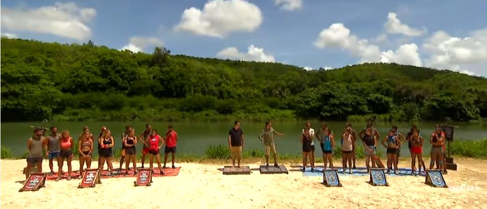 4220050982804626 image