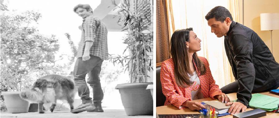 4220106917081953 ων