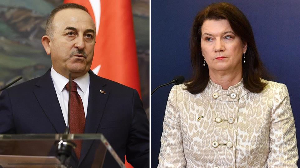 4221433484524733 image