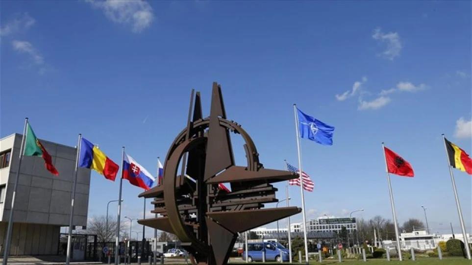 4221457391705940 image