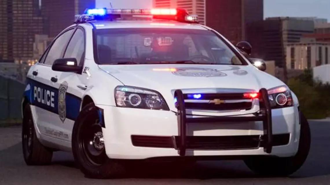 4222129421547741 image