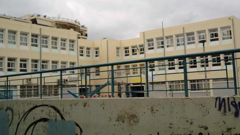 4223497536620064 image