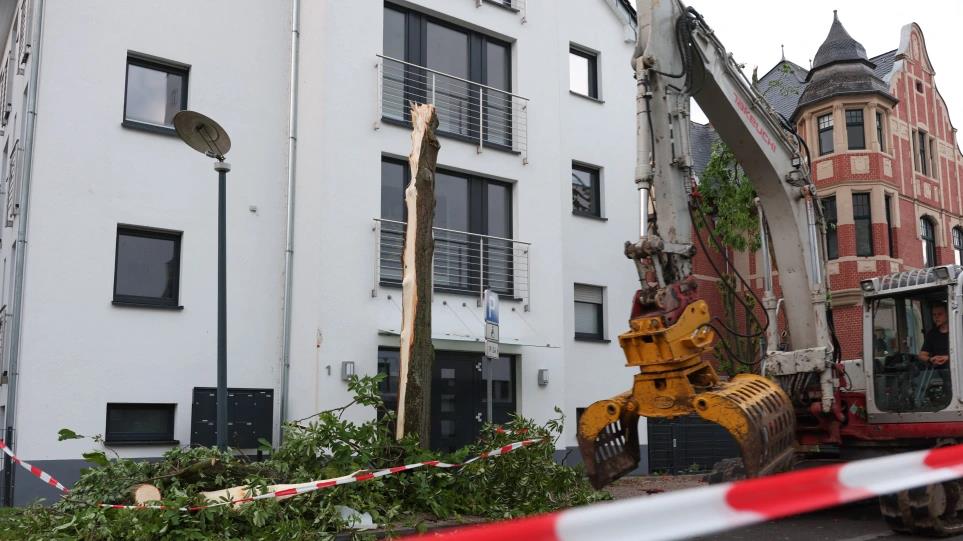 4223625988622849 image