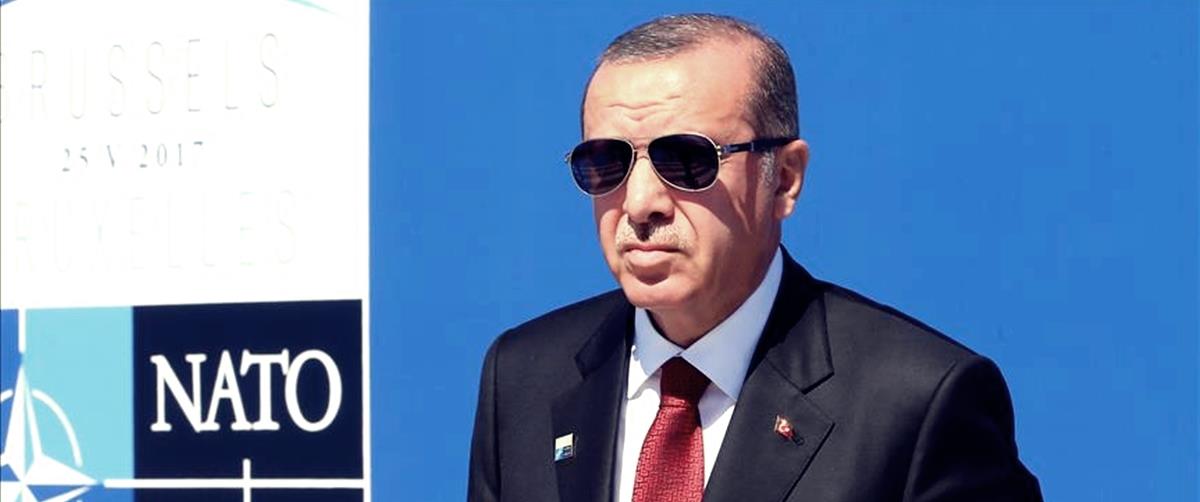 4224560771107918 cats