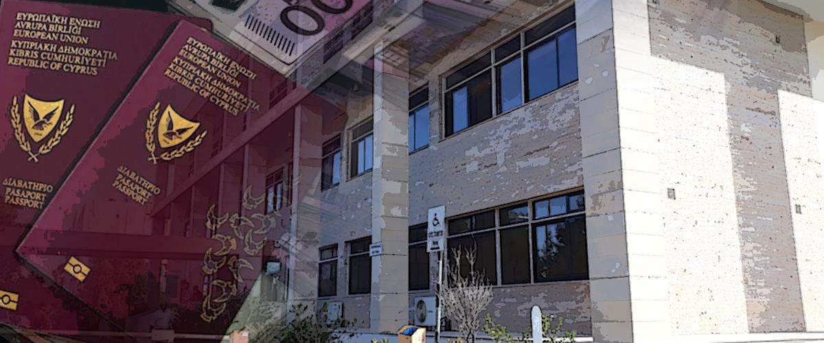 4224626486684088 cats