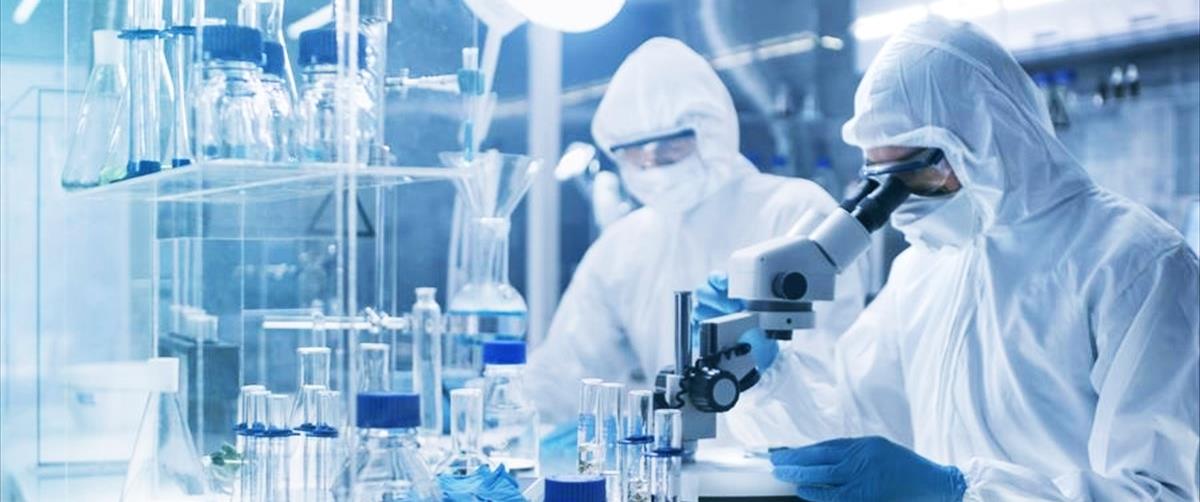 4224633791696088 cats