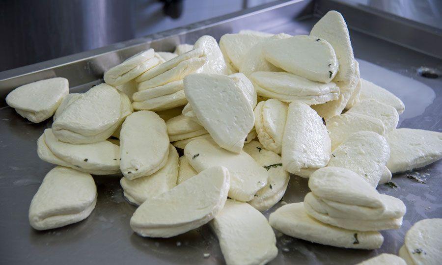 4225569660502595 image