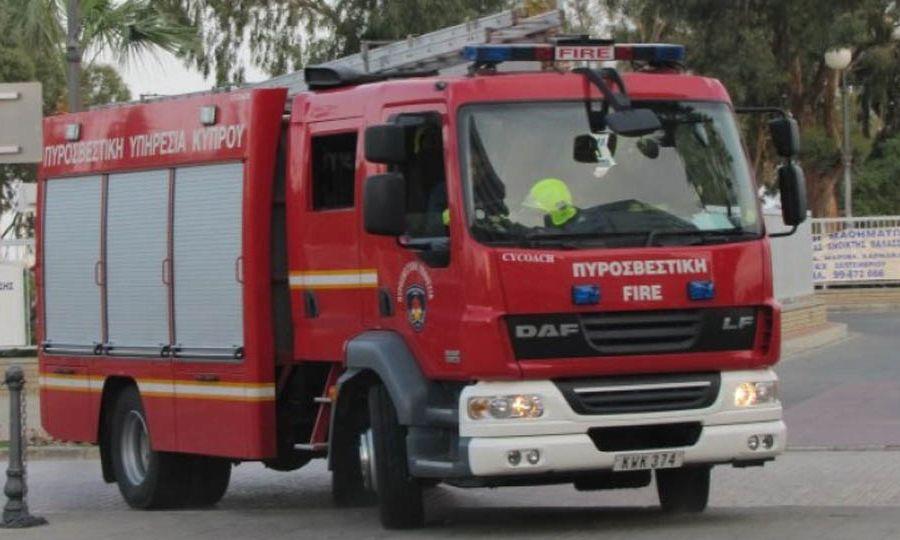 4225643143819531 image