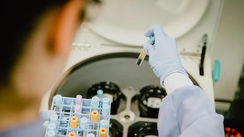 4226301366798939 image