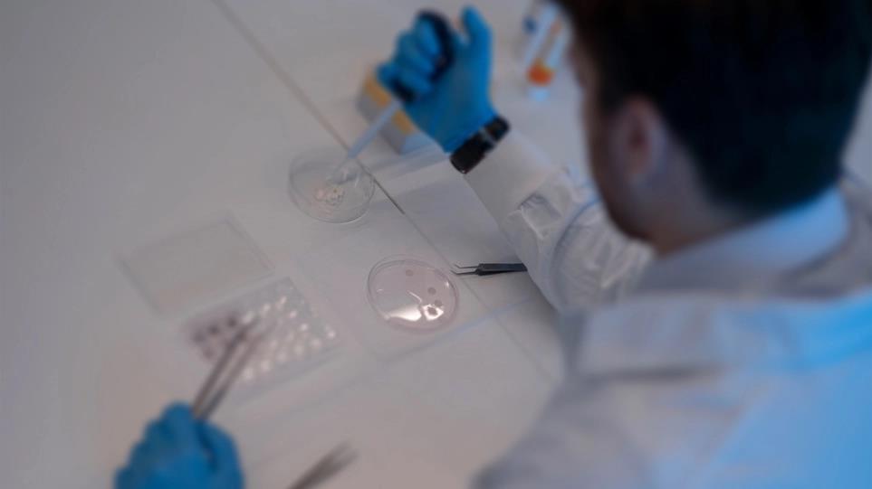 4226582872535825 image