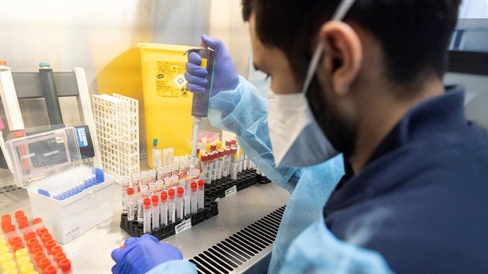 4226596473178000 image