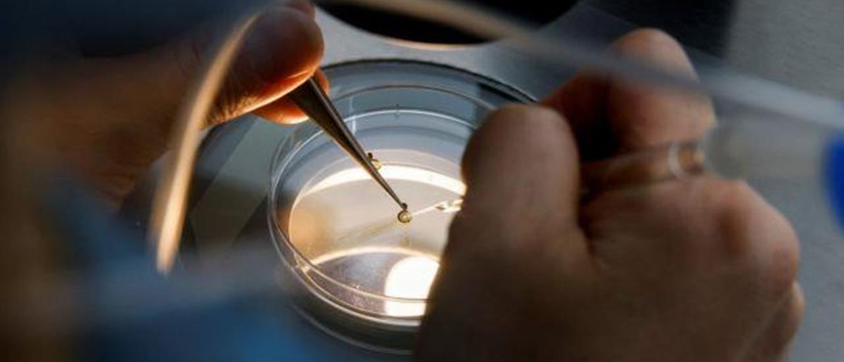 4228008780072961 1500