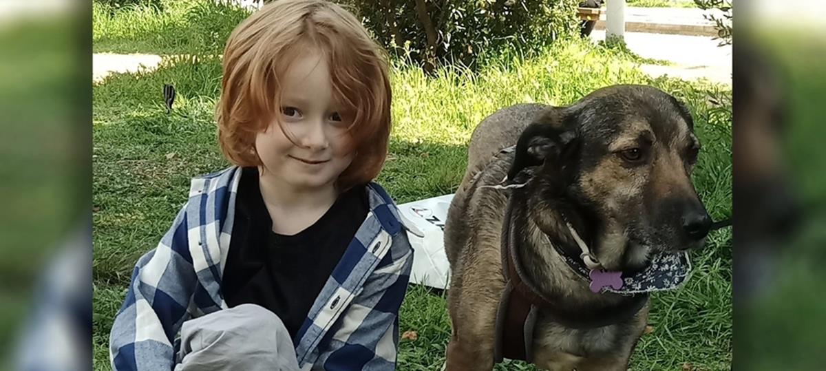 4228823455563657 399