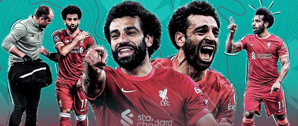 4229941786299046 510