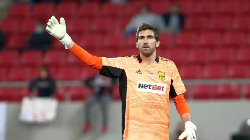 4230640795428974 image