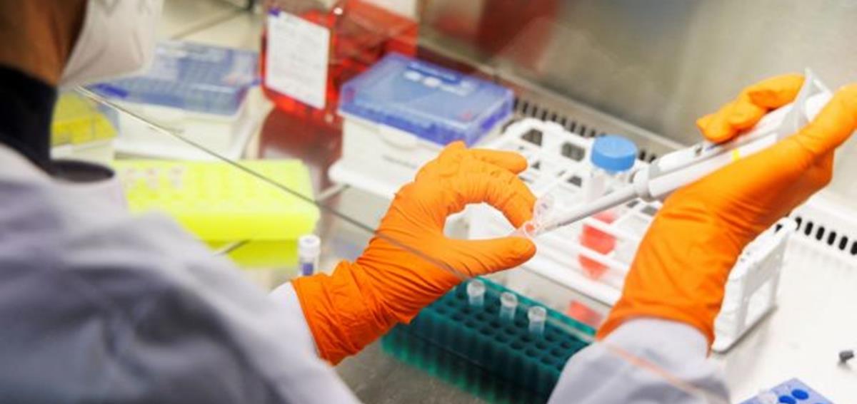 4231318329901117 a-583