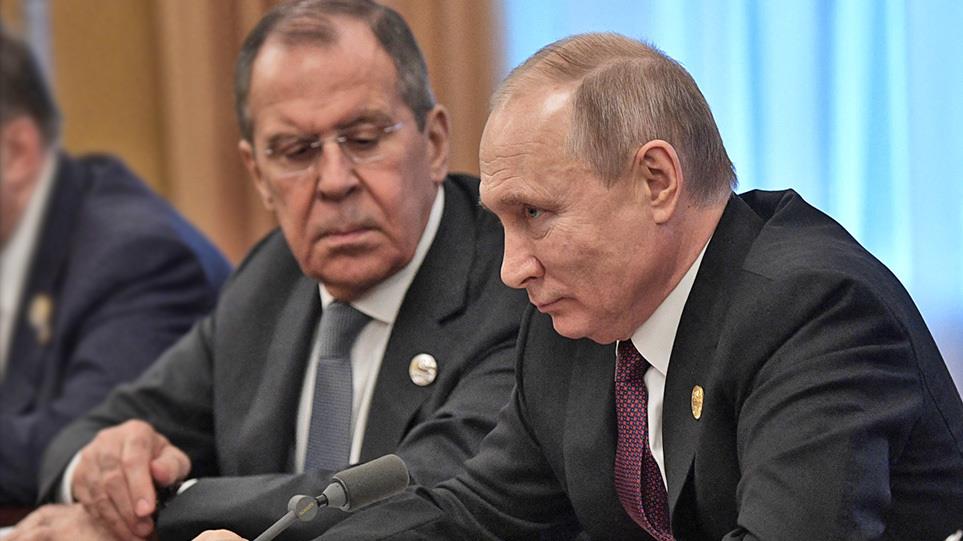 4231411455323203 image