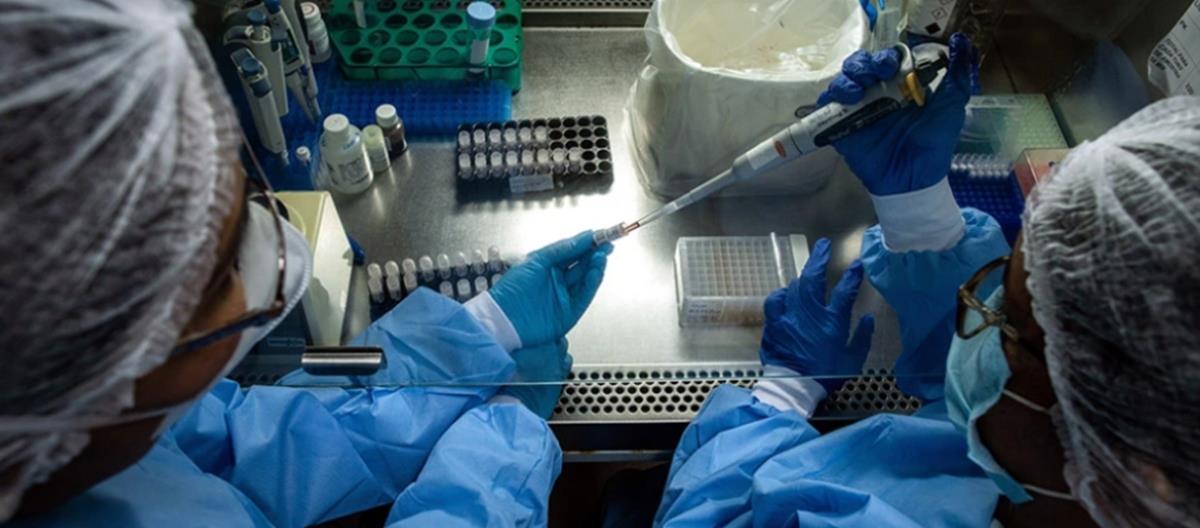 4231495966490503 528