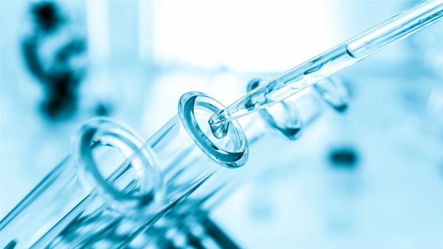 4231769943622309 image