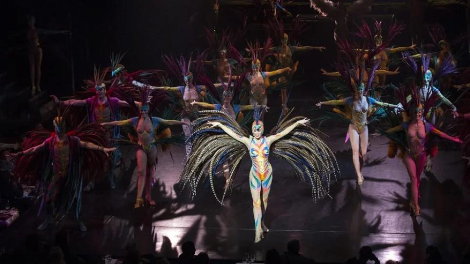 4231793678554309 image