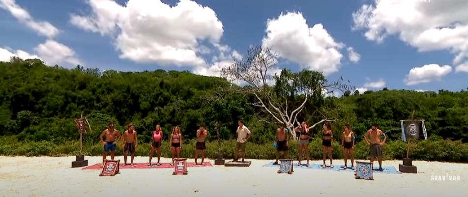 4232154356667860 image