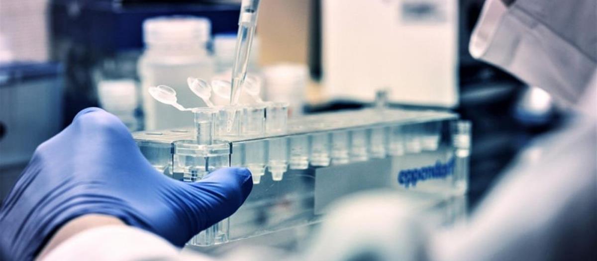 4233119897702588 800