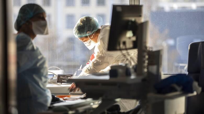 4234193339549035 image