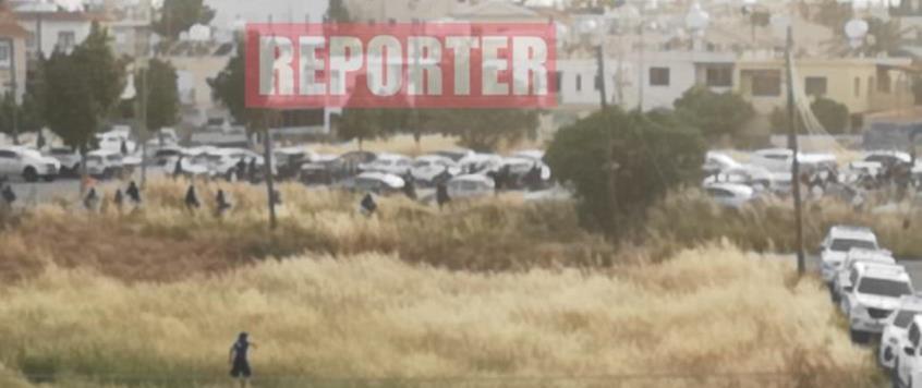 4235054326195824 image