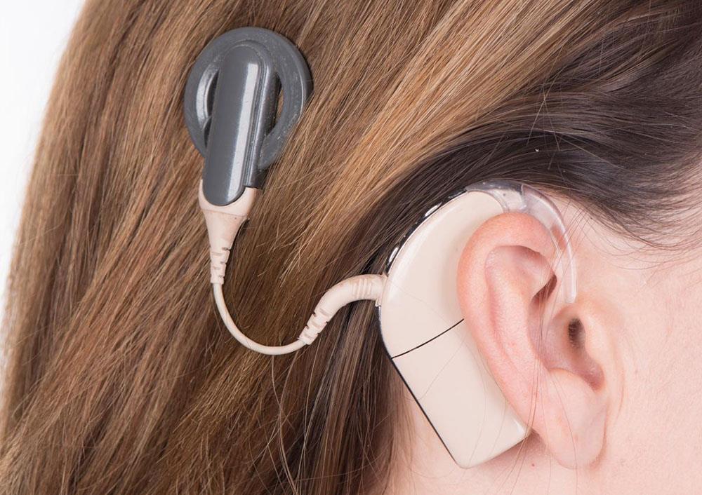 4235113135973225 image