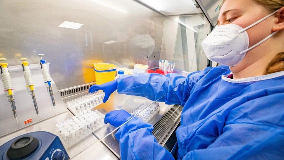 4235155282648000 image