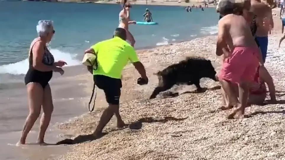 4235162195788000 image