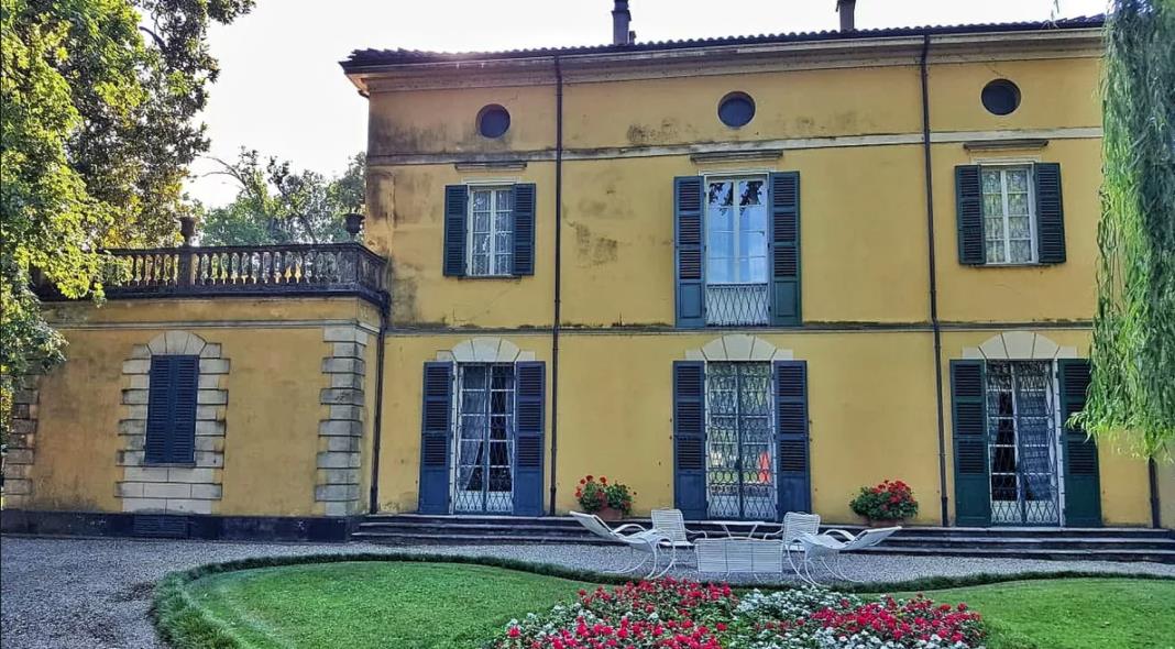 4235176296617553 image