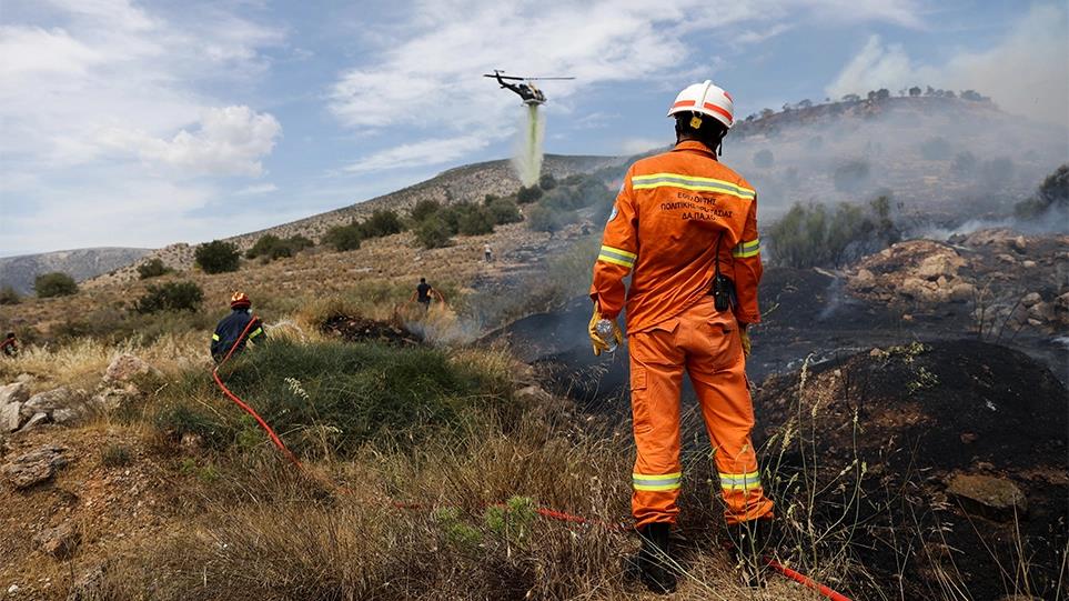 4235925871884292 image